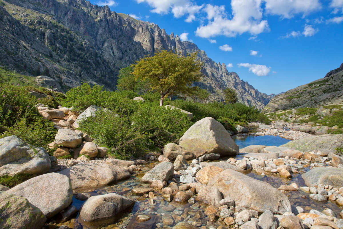 A view of a rocky gorge in the Restonica Valley in Corsica