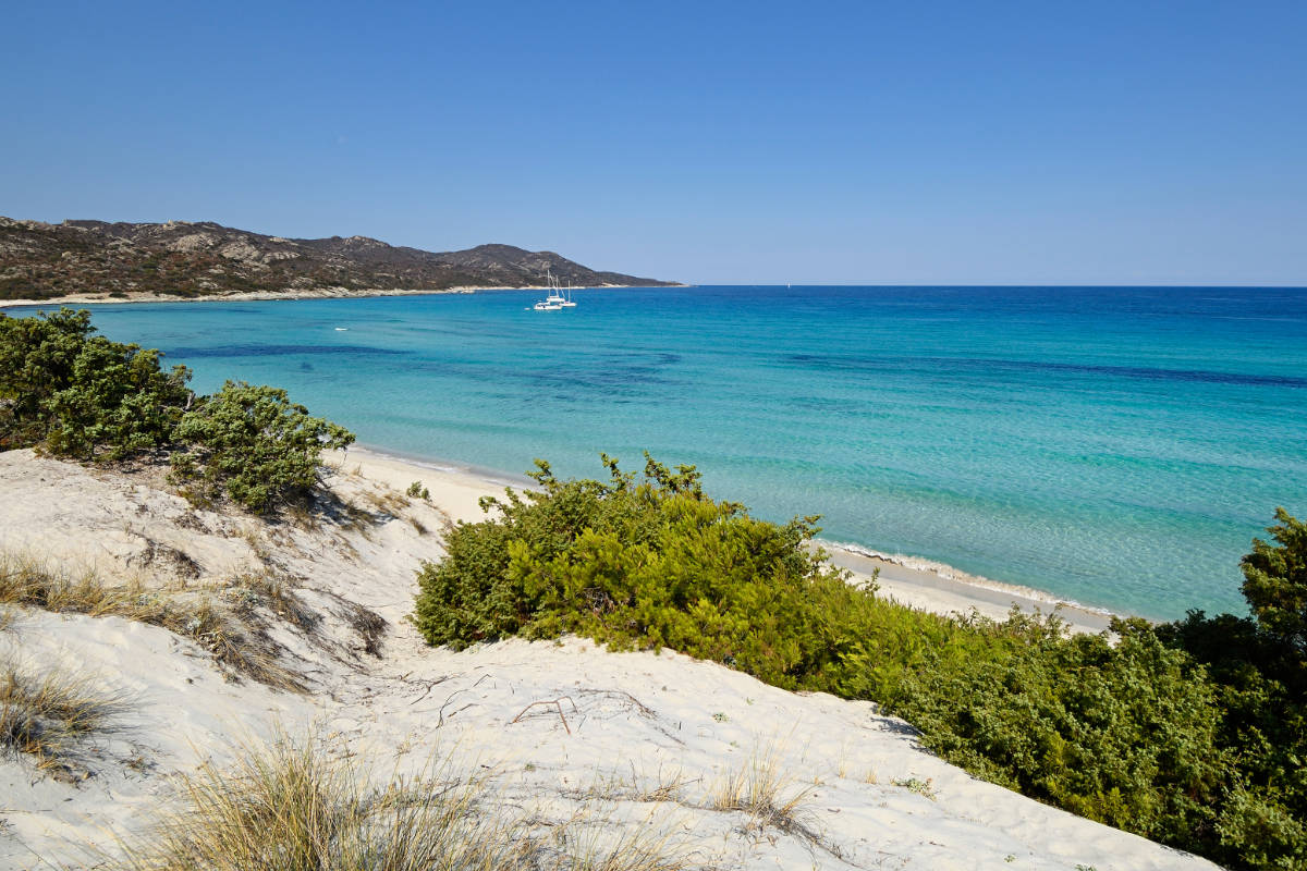 The beautiful sandy beach and turquoise sea of Saleccia Beach in Corsica